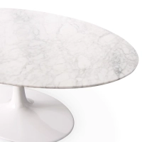 Konferenční stolek Inspirace Tulipán v mramoru Carrara - design nábytku