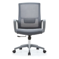 Bureaustoel Mesh Ergo Lowback Premium Edition van ademend gas